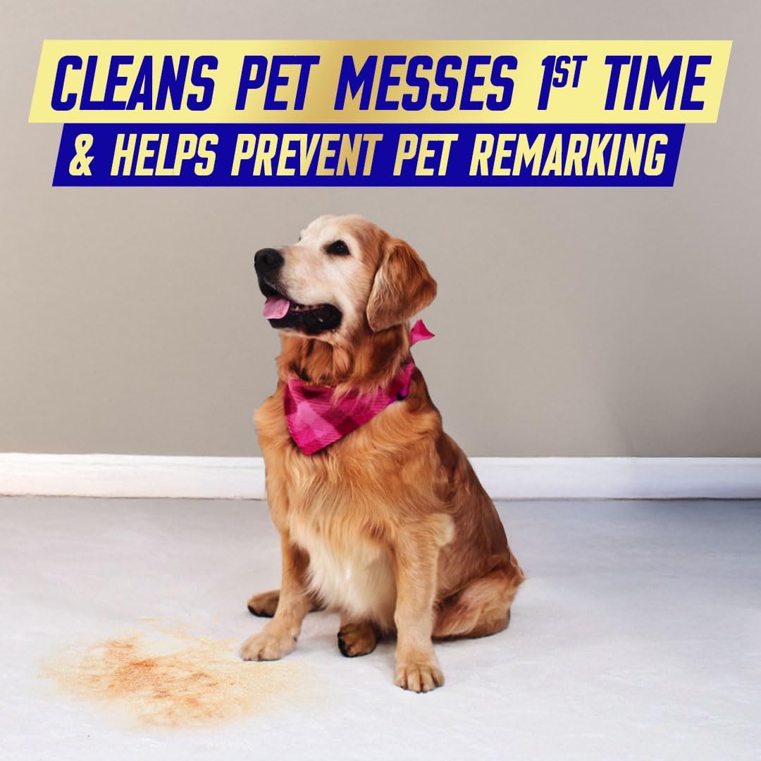 Vanish Professional Oxi Action Carpet & Upholstery Stain Remover Spray, 1L, Removes Stains, Pet Messes, Works in 30 Seconds, Removes Strong Odours, Suitable for Homes with Pets, Bleach Free