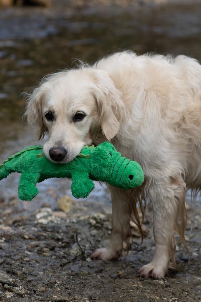 Petface Planet Carlos the Crocodile Eco Friendly Hollow Plush Dog Toy Made From Recycled Plastic Bottles