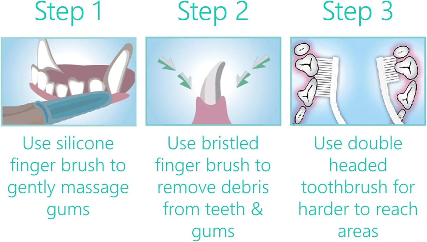 PetSol Dental Care Kit for Dogs & Cats Toothpaste (100g) with 3 x Toothbrushes to Clean Pet's Teeth, Remove Plaque and Tartar, Improve Gum and Tooth Health & Pet Oral Hygiene