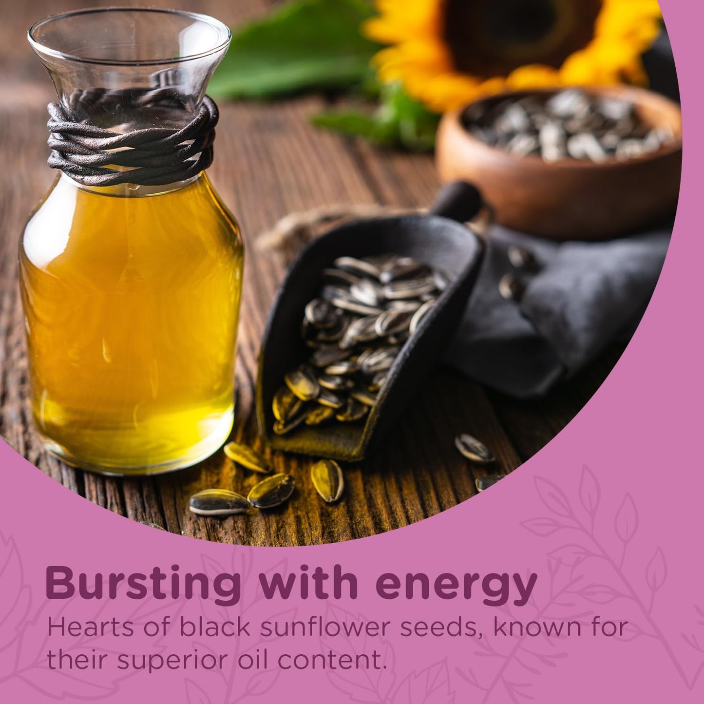 Extra Select Sunflower Hearts Bird Food - Husk-Free, Oil Rich, High Energy Wild Bird Seed for Year Round Feeding - 3 Litre Bucket