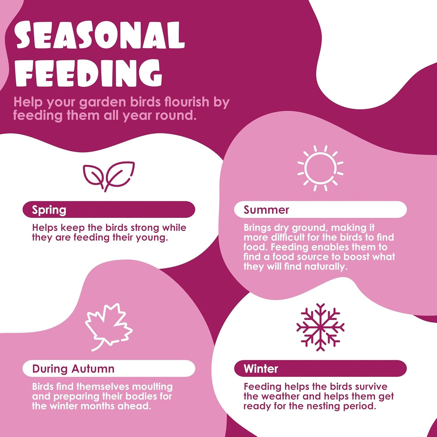 Suet Shop - Berry Flavoured Suet Blocks for Wild Birds, 300g (Pack of 10) - Enriched with Human Grade Beef Tallow, High in Energy & Protein - All-Season Bird Feed - Manufactured In The UK