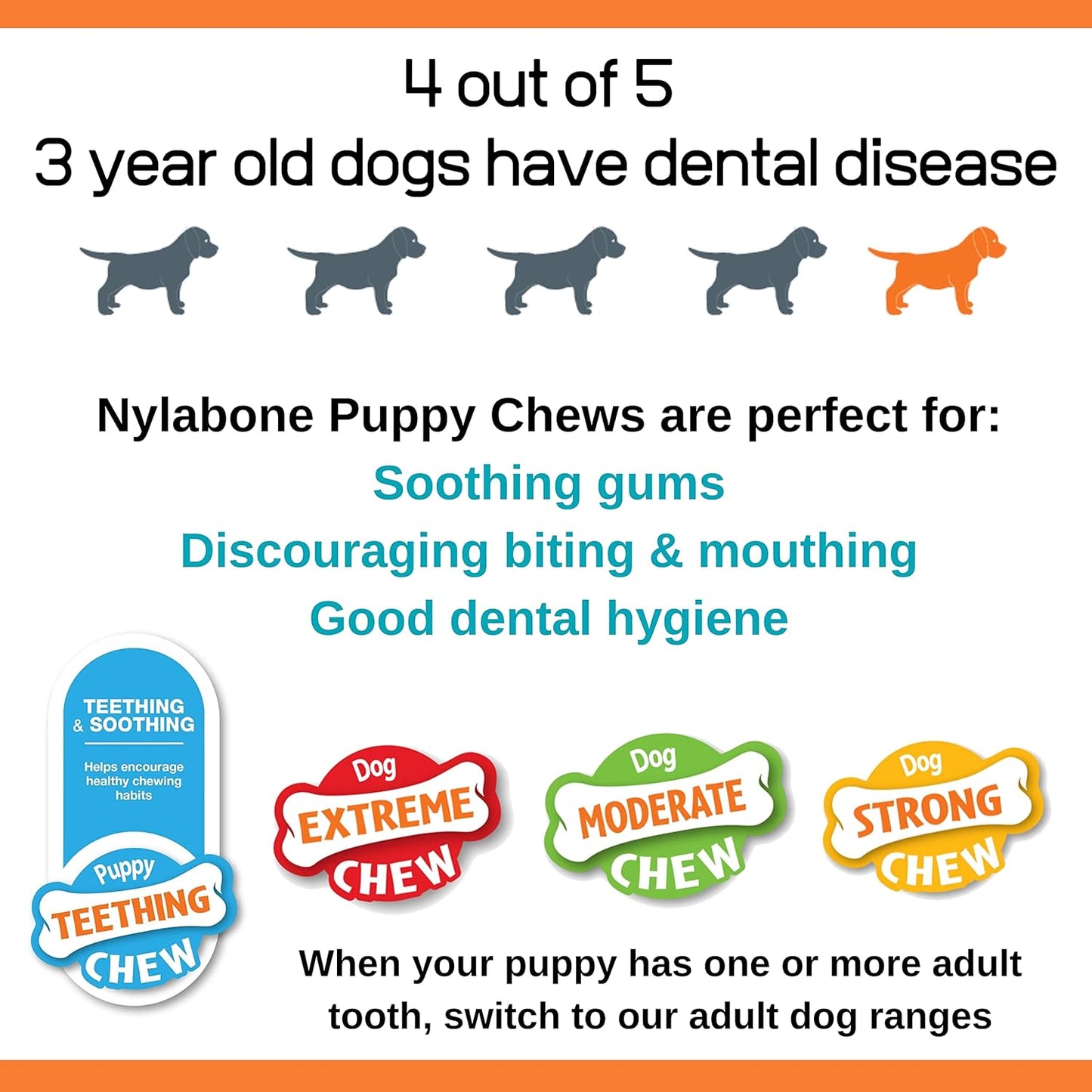 Nylabone Puppy Starter Kit, Pack of 3 Dental Dog Chew Bones, Teething, Gentle, Graduate, Small, for Puppies Up to 11 kg
