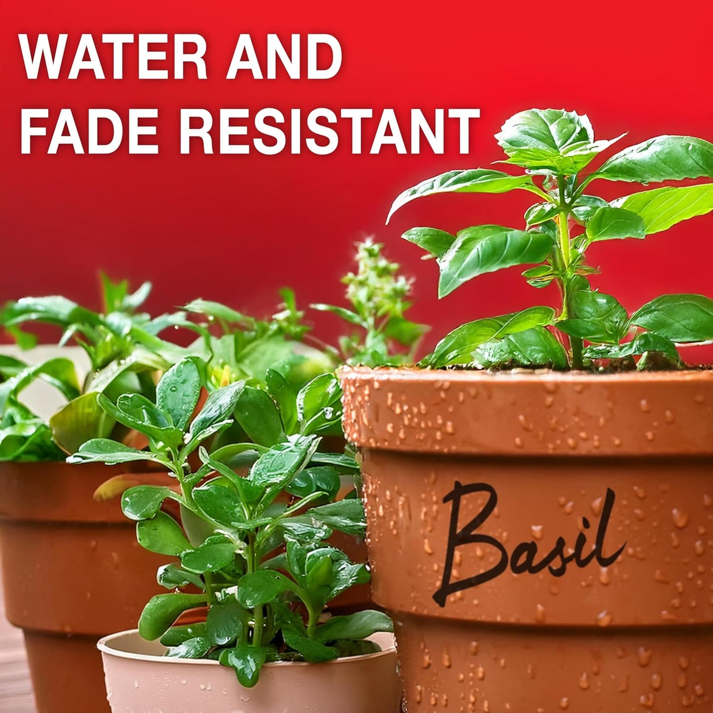 Sharpie Permanent Markers | Fine Point for Bold Details | Black Ink | 2 Marker Pens