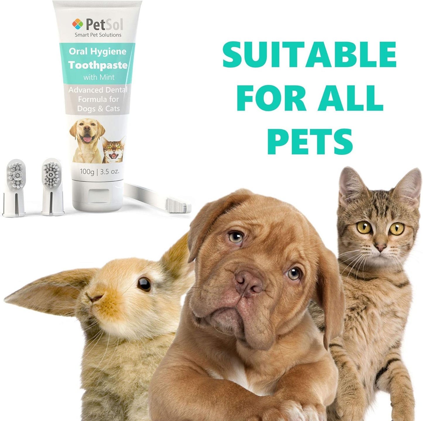 PetSol Dental Care Kit for Dogs & Cats Toothpaste (100g) with 3 x Toothbrushes to Clean Pet's Teeth, Remove Plaque and Tartar, Improve Gum and Tooth Health & Pet Oral Hygiene