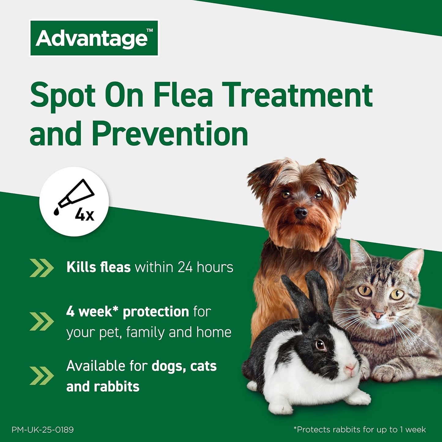 Advantage Spot On Flea Treatment For Large Cats and Rabbits Over 4kg (4 pipettes, 80mg), Kills Fleas Within 24 Hours, Prevents Further Infestation For Up To Four Weeks in Cats