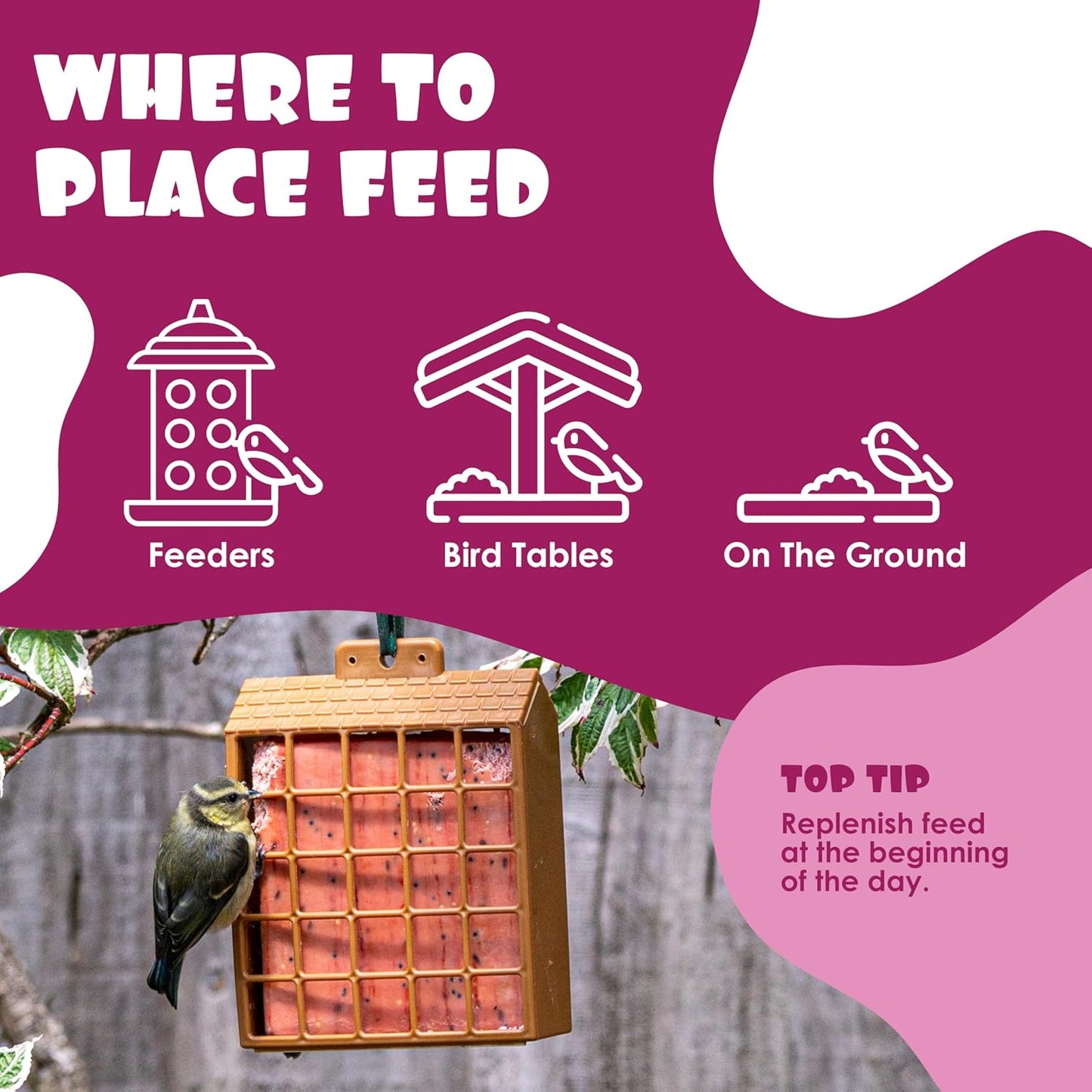 Suet Shop - Berry Flavoured Suet Blocks for Wild Birds, 300g (Pack of 10) - Enriched with Human Grade Beef Tallow, High in Energy & Protein - All-Season Bird Feed - Manufactured In The UK