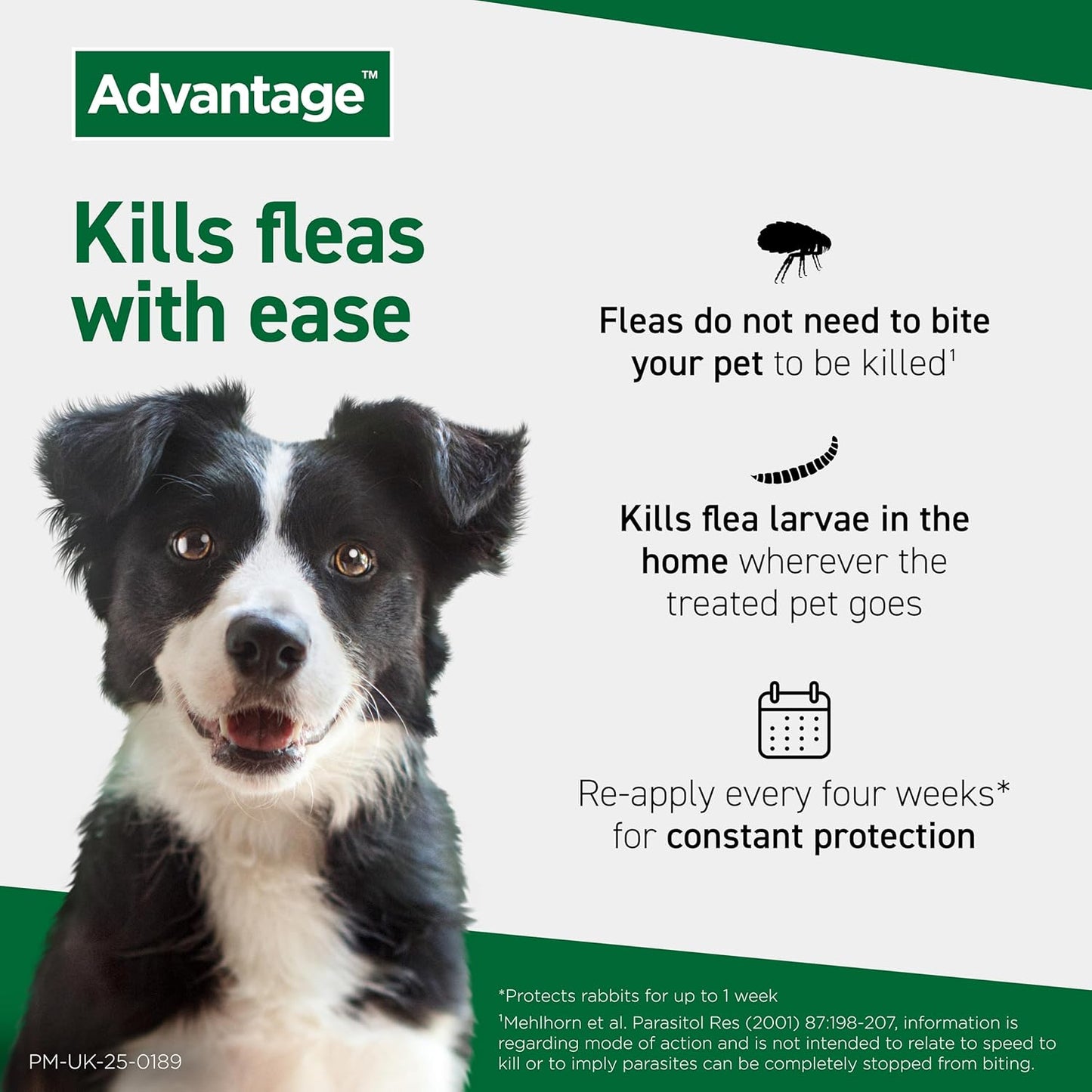 Advantage Spot On Flea Treatment For Large Cats and Rabbits Over 4kg (4 pipettes, 80mg), Kills Fleas Within 24 Hours, Prevents Further Infestation For Up To Four Weeks in Cats
