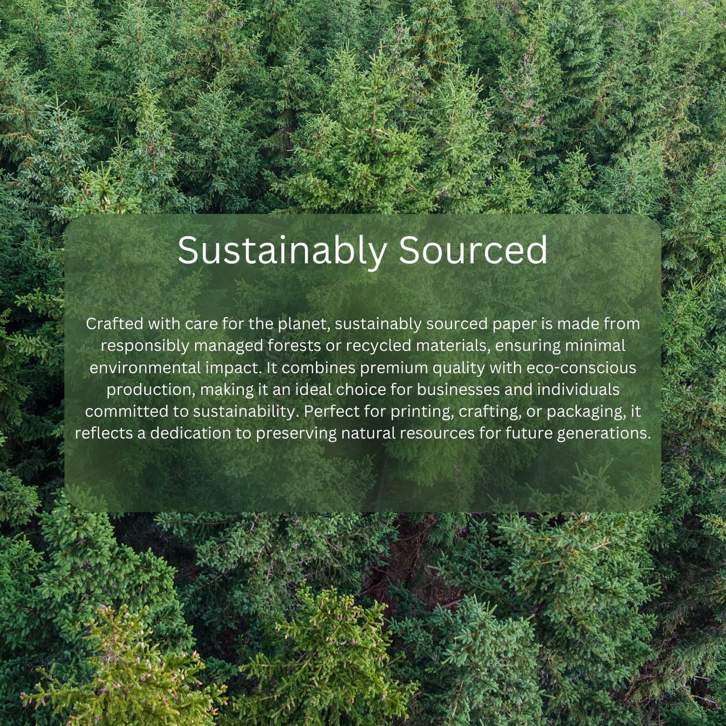 Hawksbill White Copy Paper 80 GSM A4 100 Sheet Pack of Premium Paper for Copier Use, Printing at Office & Home