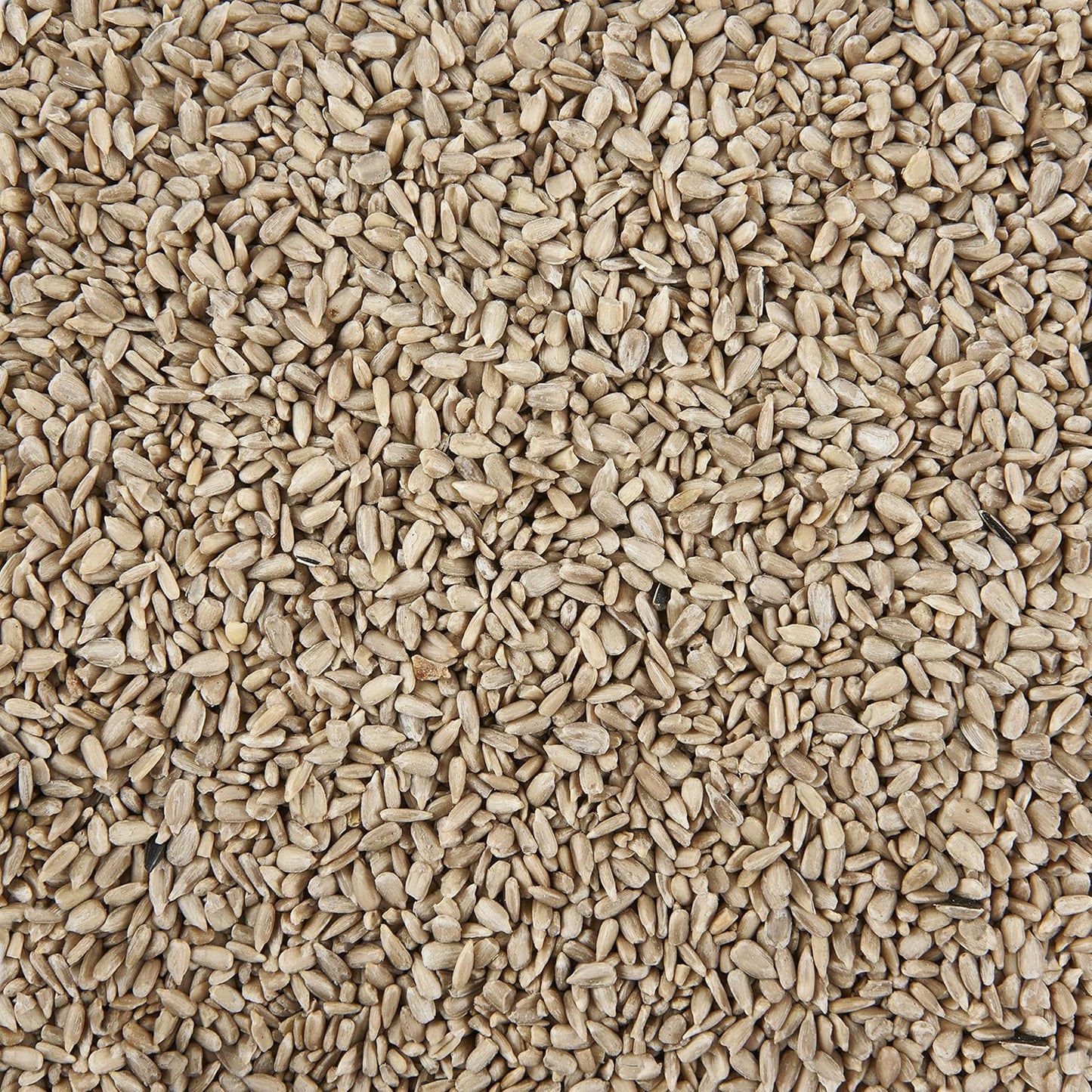 Garden Ting Sunflower Hearts Wild Bird Food Tub, 5 Litre