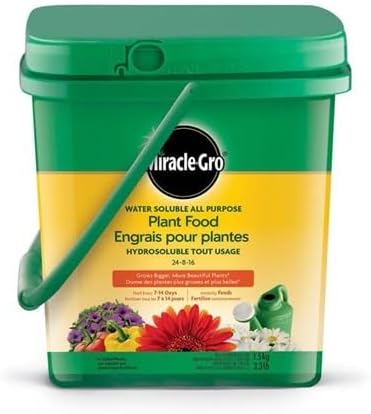 Miracle-Gro All Purpose Water Soluble Plant Food Tub, 2 kg