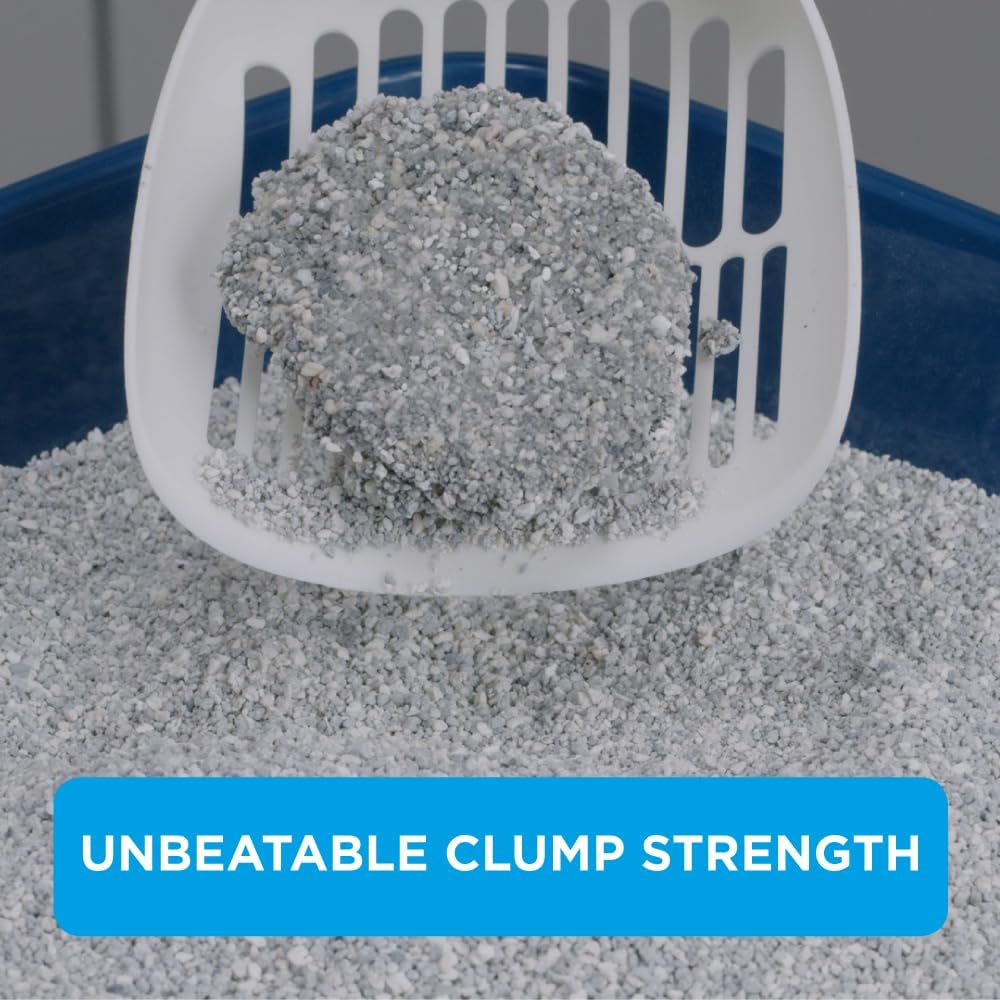 Ever Clean Clumping Cat Litter, Multiple Cat, Scented for long-lasting freshness, Unbeatable Clumping Strength, 10L