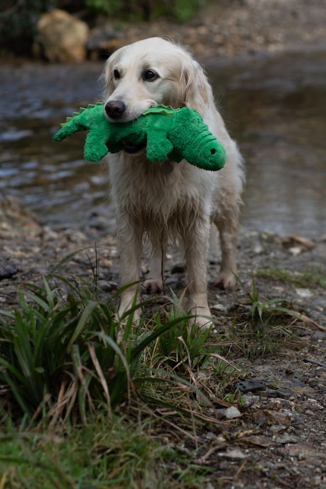 Petface Planet Carlos the Crocodile Eco Friendly Hollow Plush Dog Toy Made From Recycled Plastic Bottles
