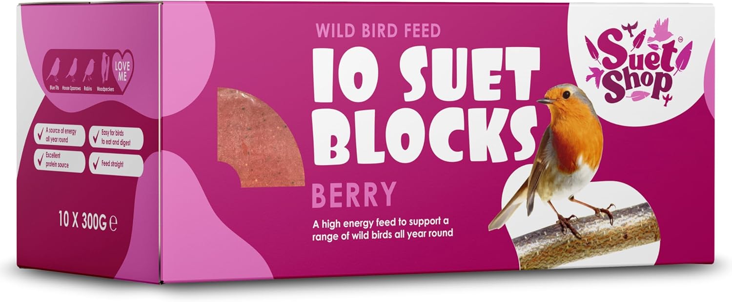 Suet Shop - Berry Flavoured Suet Blocks for Wild Birds, 300g (Pack of 10) - Enriched with Human Grade Beef Tallow, High in Energy & Protein - All-Season Bird Feed - Manufactured In The UK