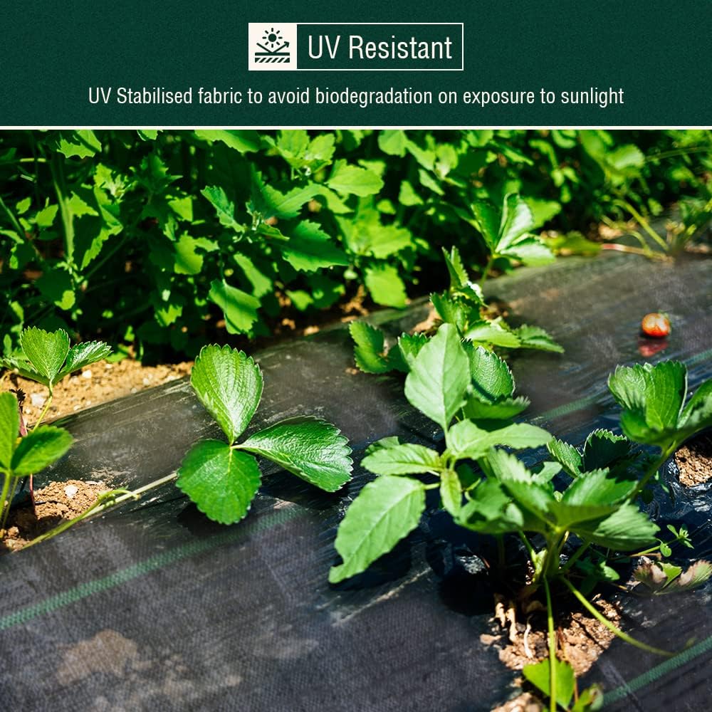 ANSIO Weed Membrane, Weed Control Membrane 2Mx10M, Weed Control Fabric,Ground cover, UV stabilised Weed Barrier Fabric. Ideal for use in Patios, Garden, Flower beds, Landscaping -Weed suppressant