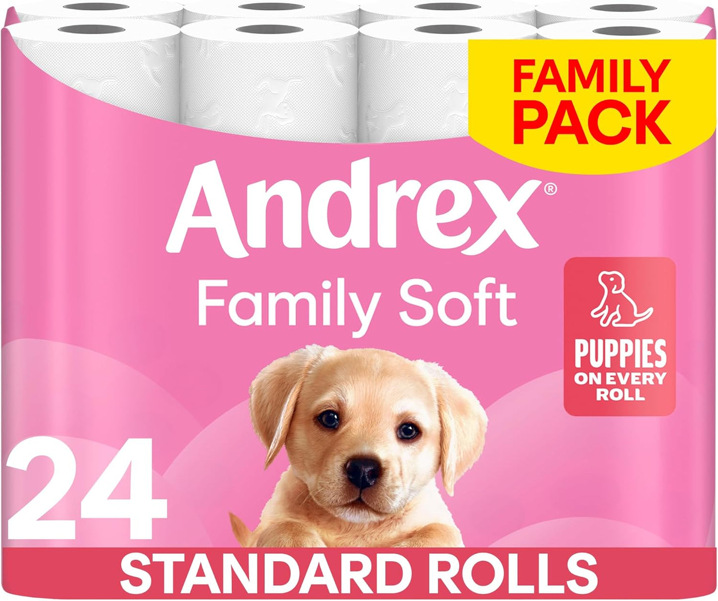Andrex Family Soft Toilet Paper 24 Rolls (Previously Andrex Gentle Clean) Gentle on your Family’s skin– Pack of 24 Toilet Rolls, 170 sheets Per Roll, FSC Certified