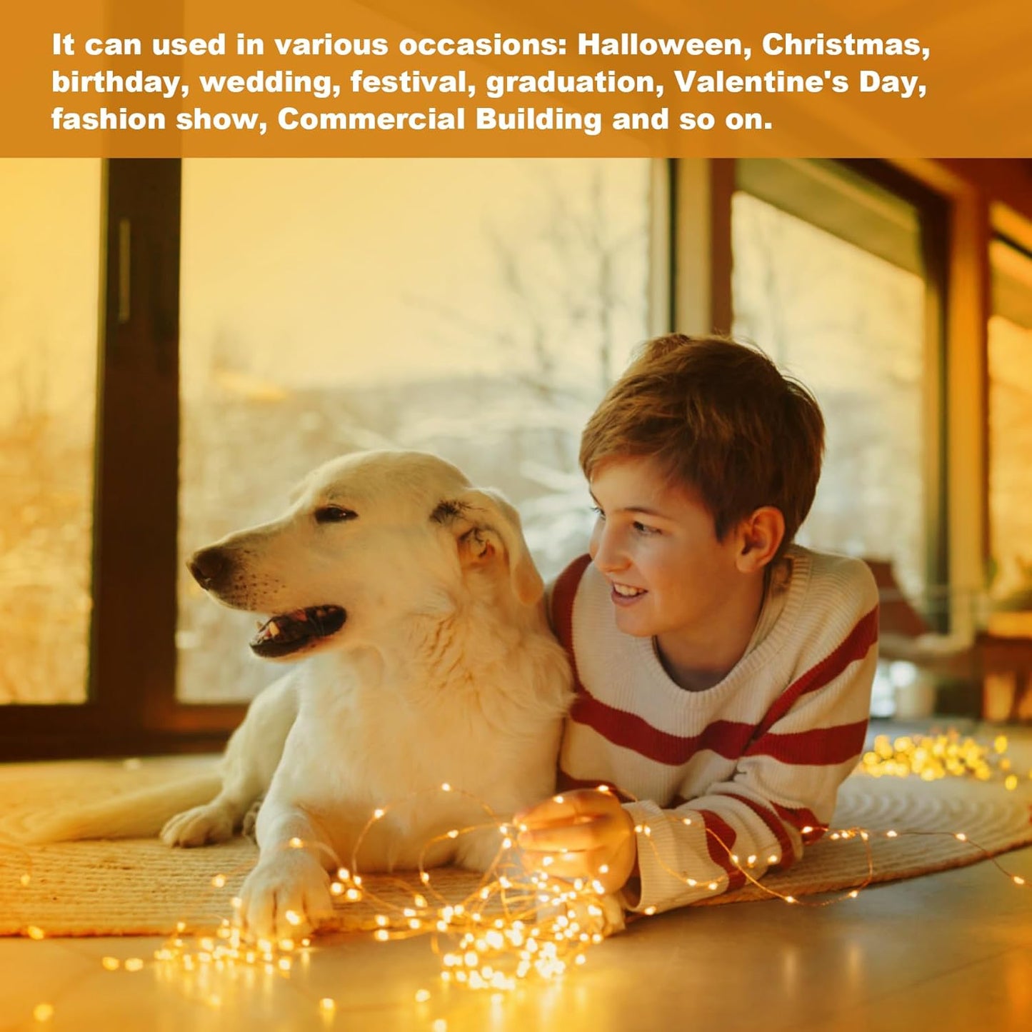 2 Pack Total 240LED/80FT Fairy Lights Battery Operated with Remote-8 Modes Battery Fairy Lights Waterproof, Indoor/Outdoor String Lights for Home Bedroom Party Christmas Tree Decor(Warm White)