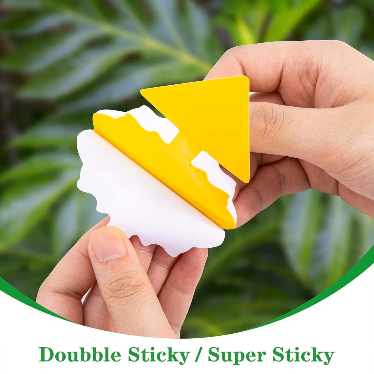 aonova Fruit Fly Traps, Pack 30 Yellow Double-sided Fungus Gnat Sticky Catcher for Plants Indoor and Outdoor Insects Fly Control - Non-Toxic, Waterproof