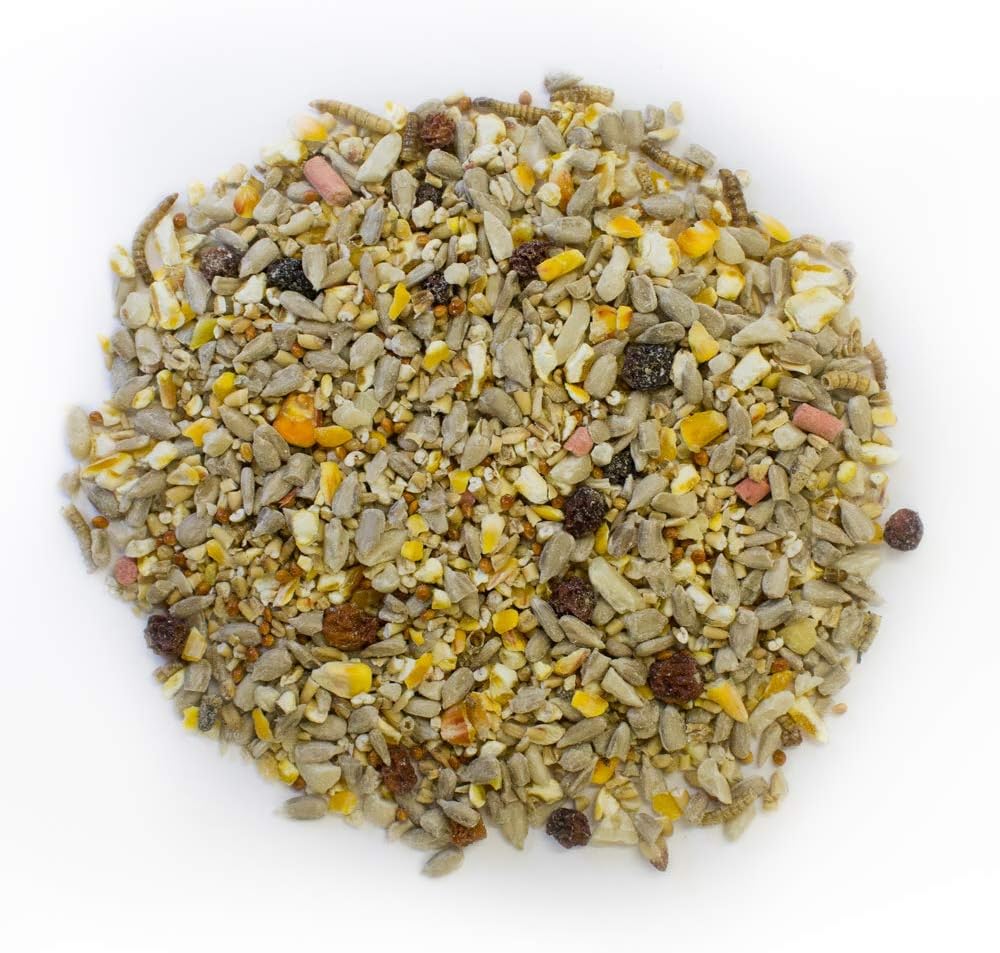 Extra Select Robin and Song Bird Feed Mix, 1 kg