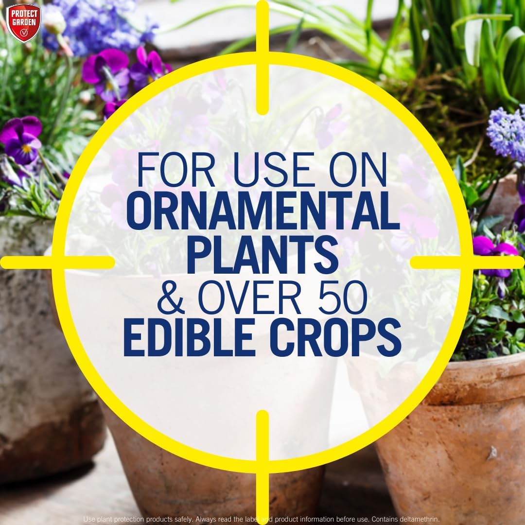 Provanto Ultimate Bug Killer, 1L - Fast Acting Bug Spray with Up To 2 Weeks Protection From Pests, Contact Insecticide for Indoor & Outdoor Plants