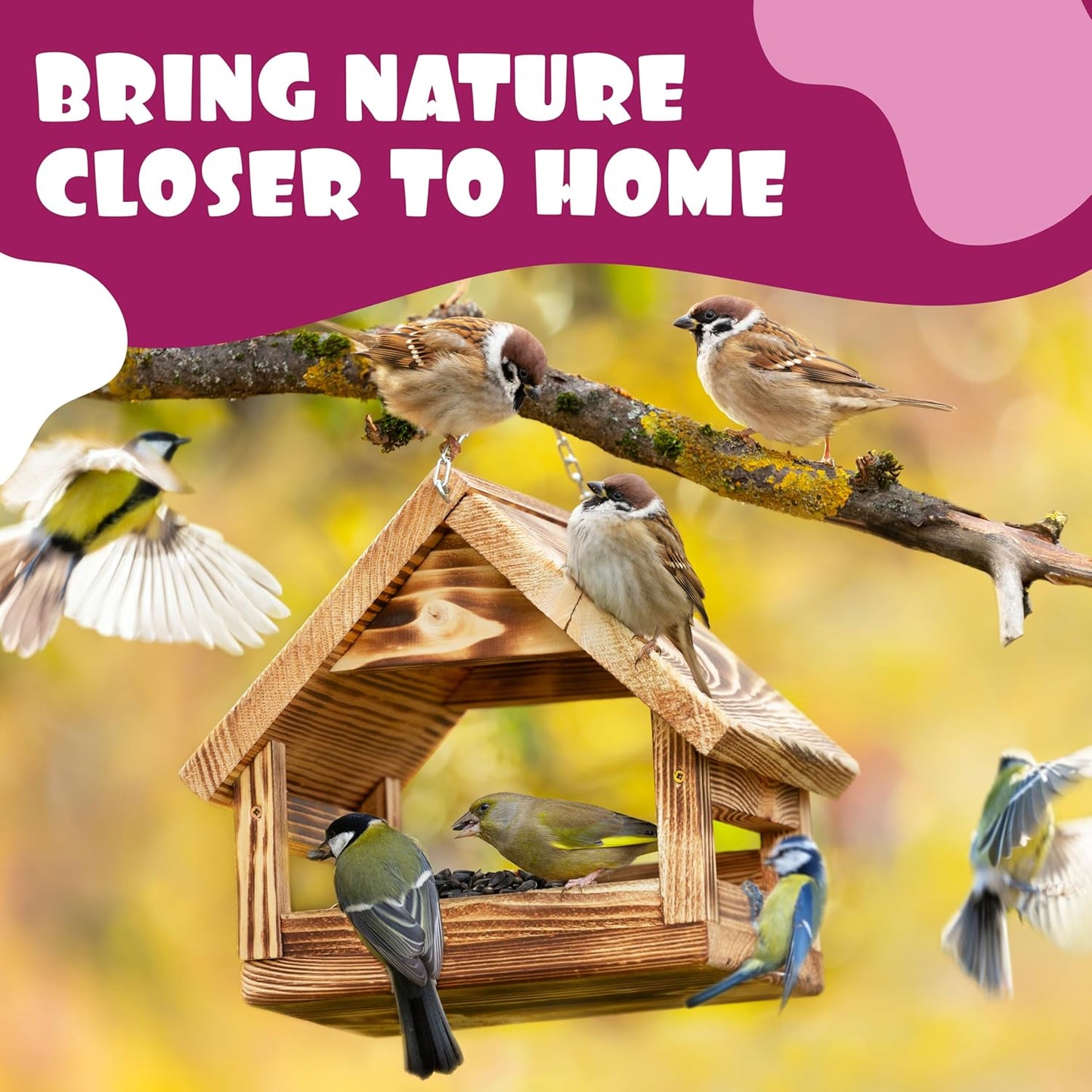 Suet Shop - Berry Flavoured Suet Blocks for Wild Birds, 300g (Pack of 10) - Enriched with Human Grade Beef Tallow, High in Energy & Protein - All-Season Bird Feed - Manufactured In The UK