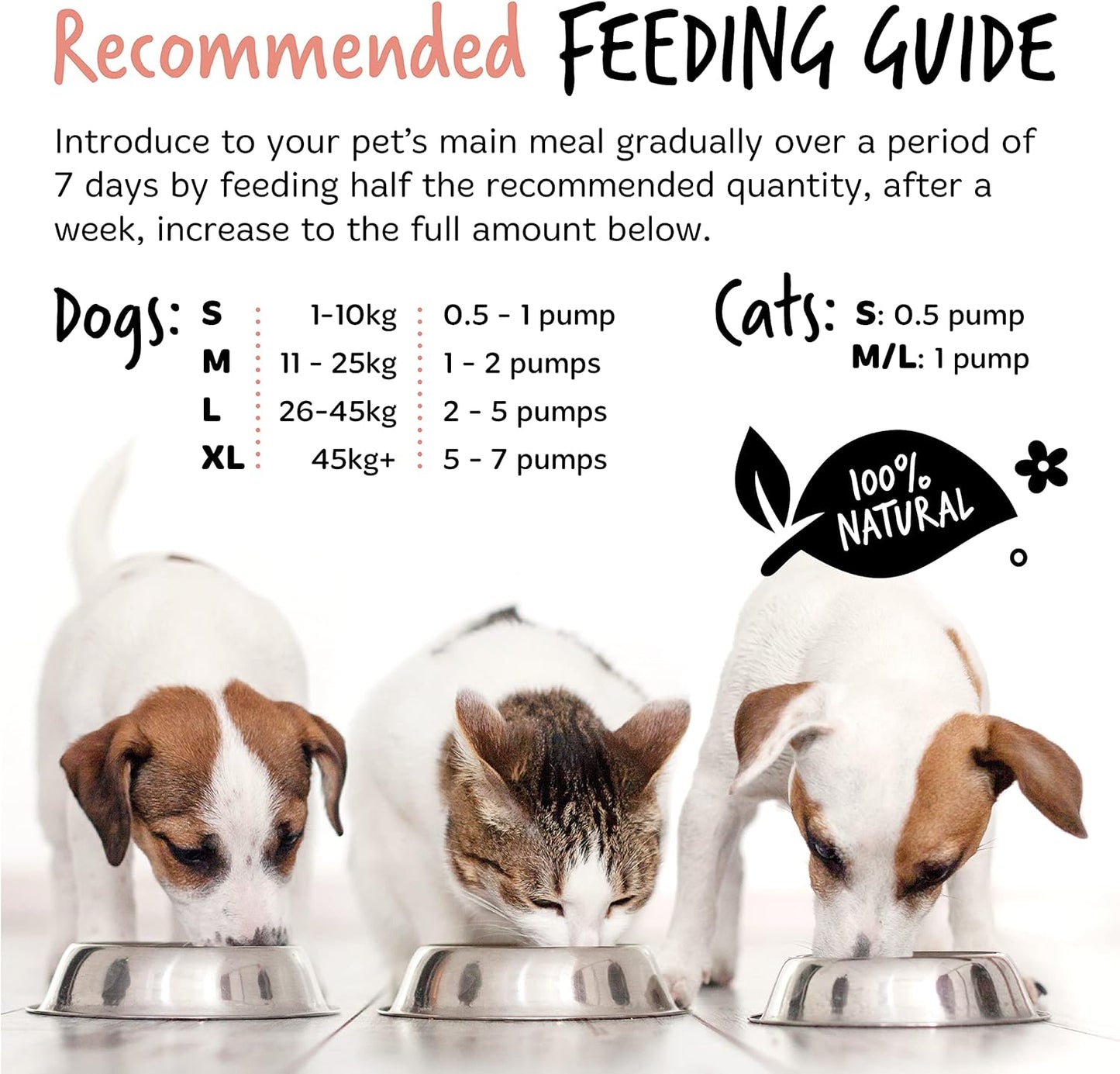 Bugalugs Scottish Salmon Oil For Dogs & Cats, Dog Supplement Support for Skin And Coat, Itchy Skin & Moulting, Omega 3 Fish Oil (Salmon, 500ml)