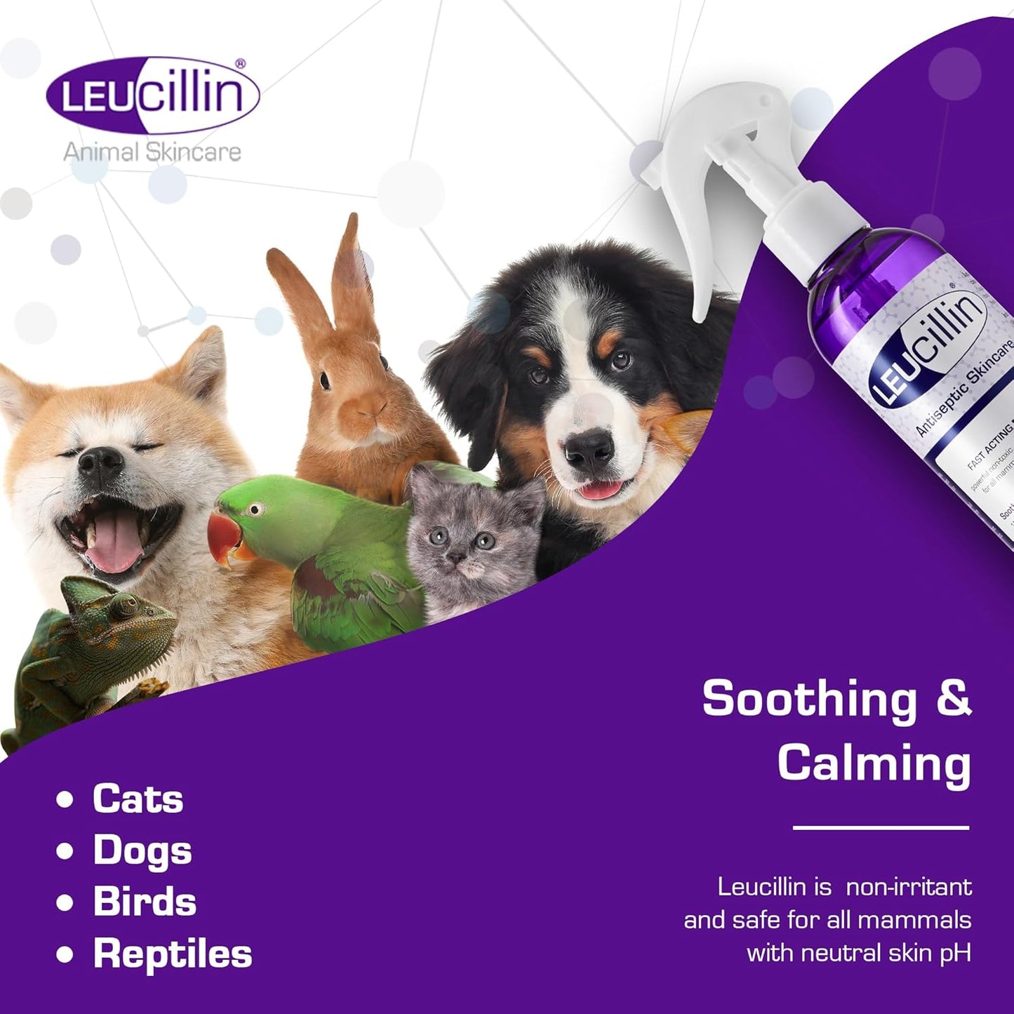 Leucillin Natural Antiseptic Spray - Antibacterial Antifungal Antiviral for Dogs Cats All Animals Itchy Skin Minor Wound Care and Skin Health | 150ml