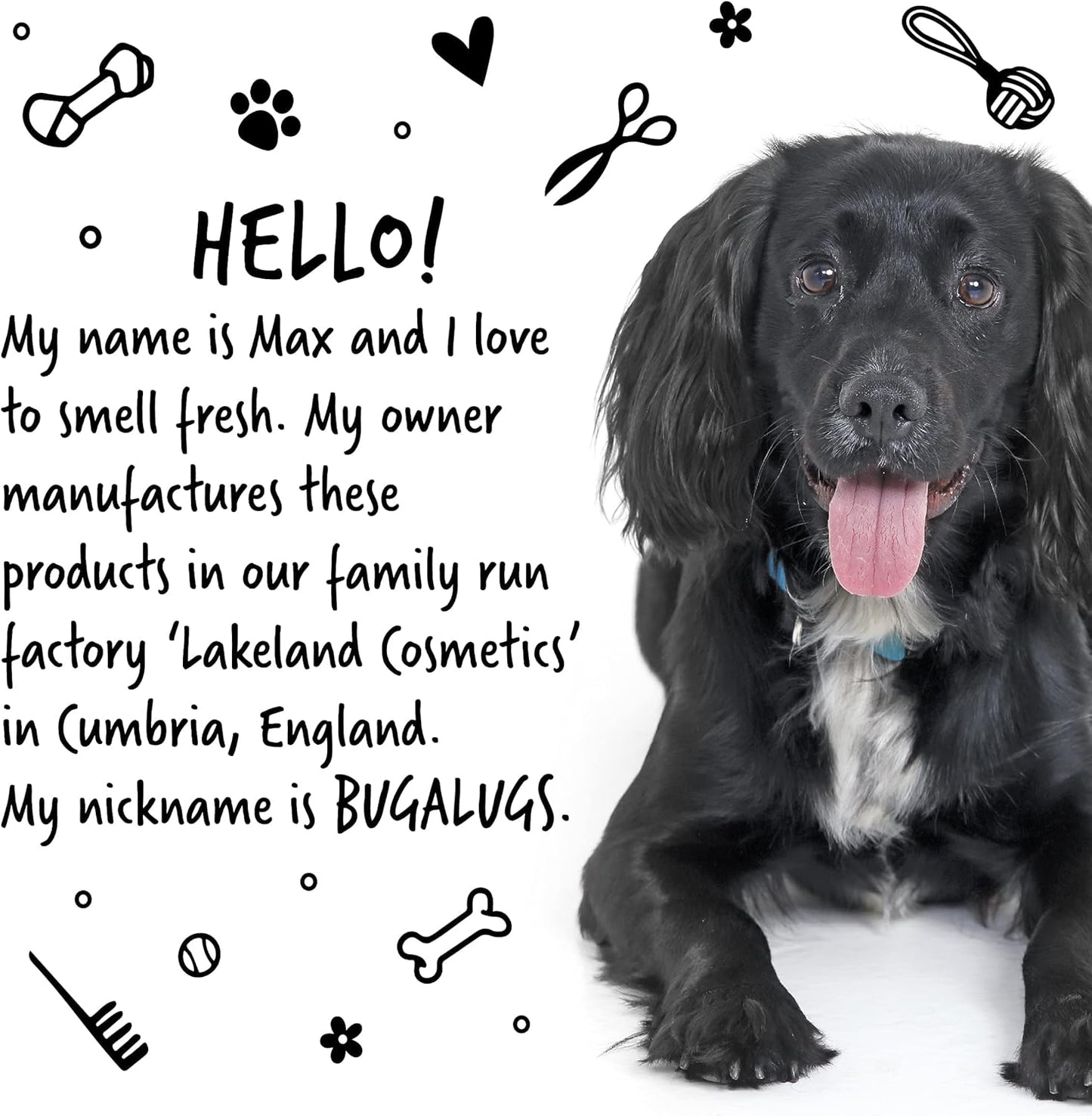 Itchy Dog Shampoo with Oatmeal & Aloe Vera Dog professional Vegan dog grooming products for smelly dogs with fragrance can use as puppy shampoo (500ml)