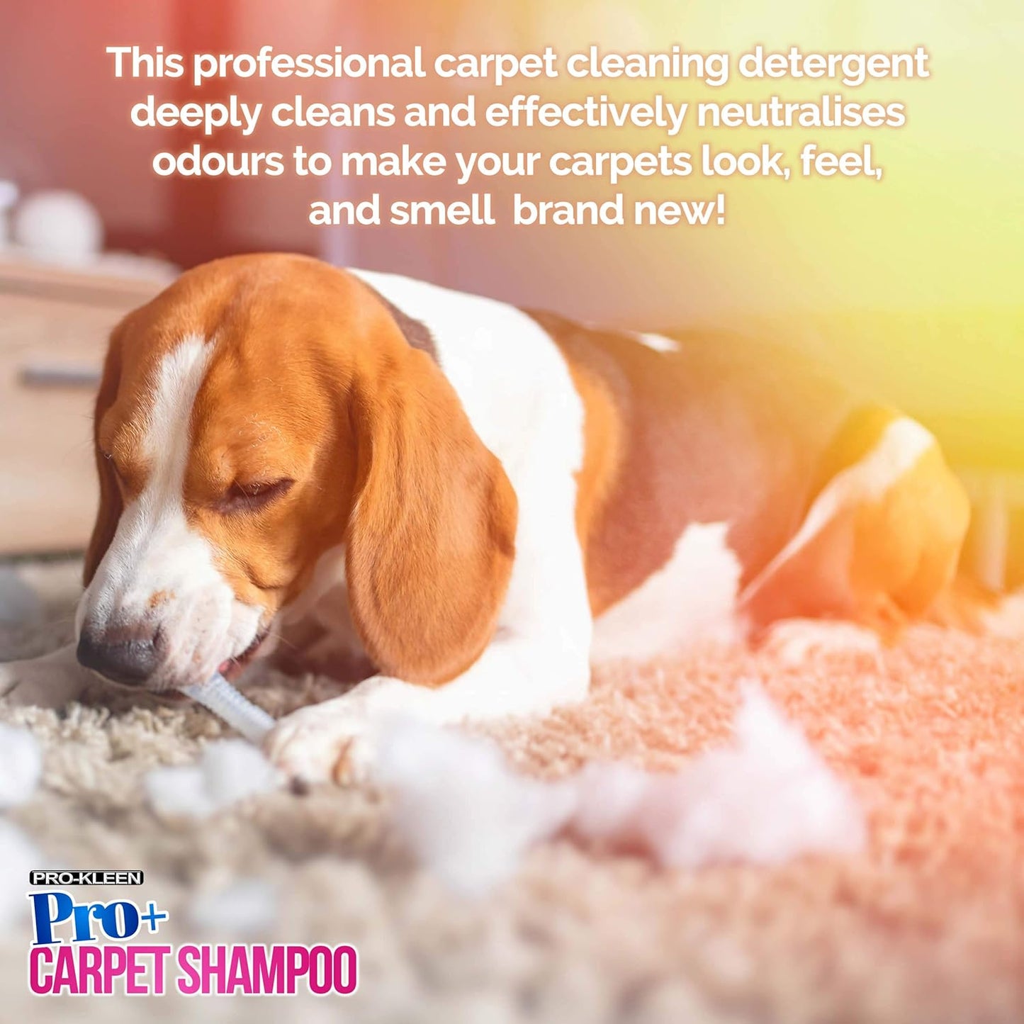 Pro-Kleen Pro+ Carpet Shampoo and Upholstery Cleaning Solution – 4 in 1 Concentrate – Pet Carpet Cleaner with Odour Removal Suitable for all Machines 5L (Spring Bloom)
