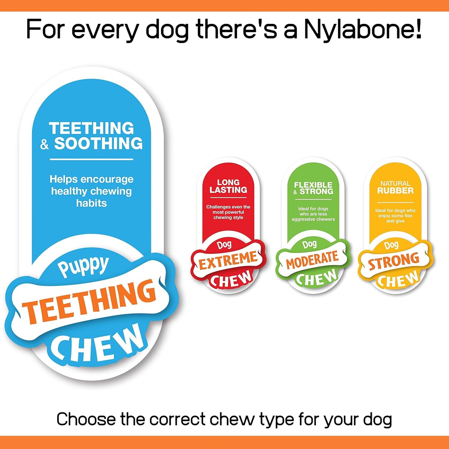 Nylabone Puppy Starter Kit, Pack of 3 Dental Dog Chew Bones, Teething, Gentle, Graduate, Small, for Puppies Up to 11 kg