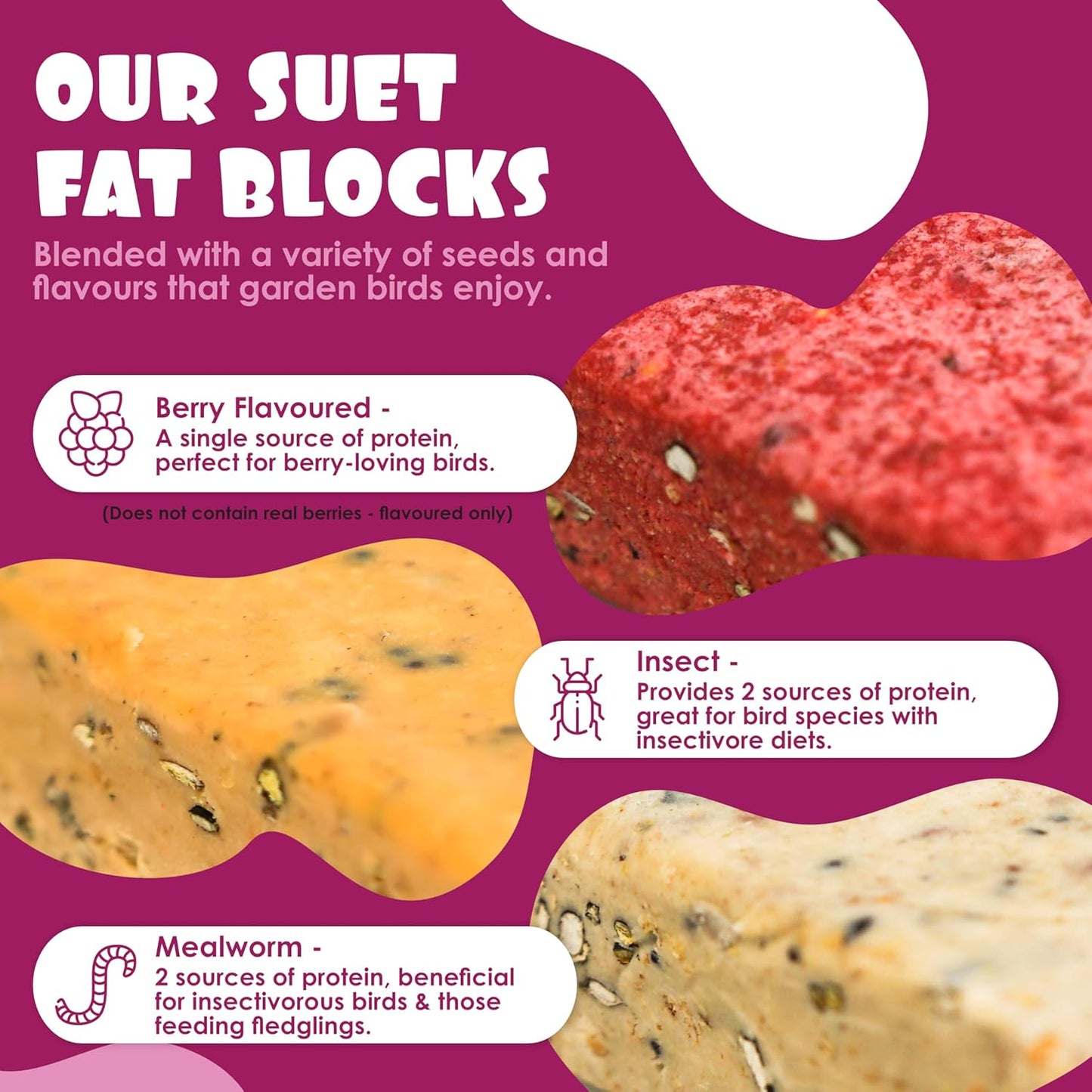 Suet Shop - Berry Flavoured Suet Blocks for Wild Birds, 300g (Pack of 10) - Enriched with Human Grade Beef Tallow, High in Energy & Protein - All-Season Bird Feed - Manufactured In The UK