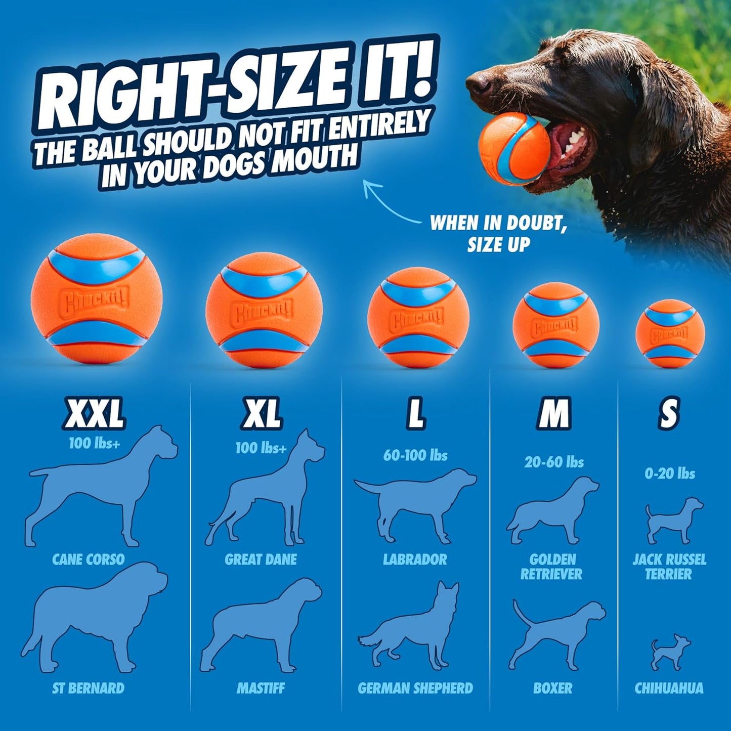 ChuckIt! Ultra Ball Dog Toy, Durable High Bounce Floating Rubber Dog Ball, Launcher Compatible Toy For Dogs, 2 Pack, Medium