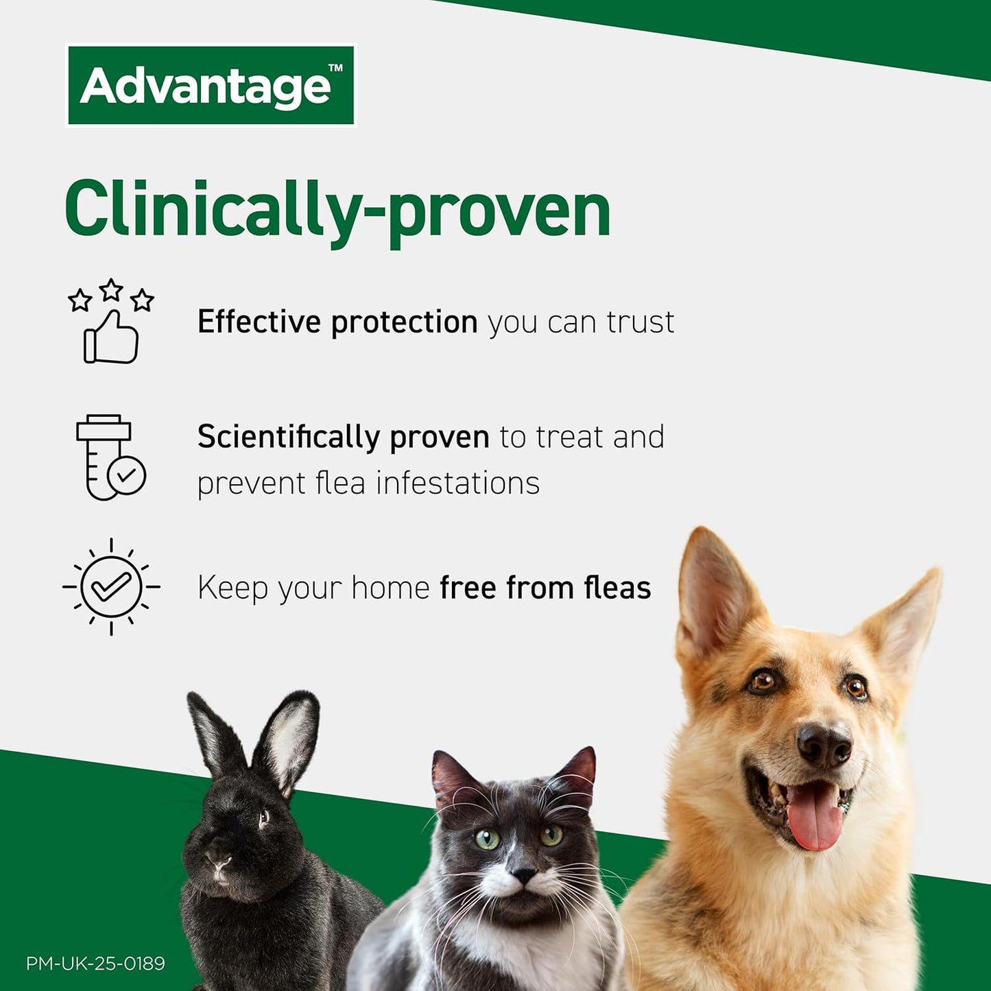 Advantage Spot On Flea Treatment For Large Cats and Rabbits Over 4kg (4 pipettes, 80mg), Kills Fleas Within 24 Hours, Prevents Further Infestation For Up To Four Weeks in Cats