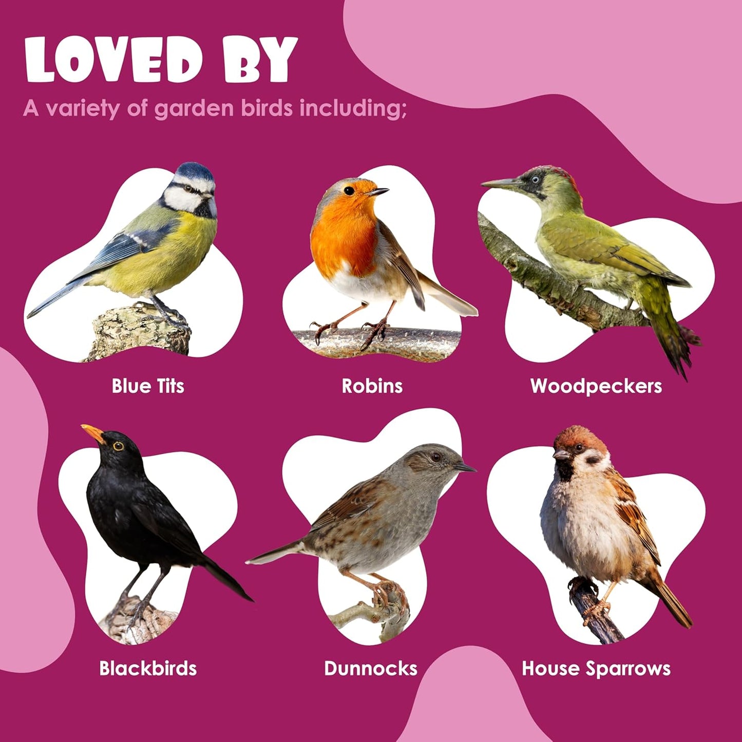 Suet Shop - Berry Flavoured Suet Blocks for Wild Birds, 300g (Pack of 10) - Enriched with Human Grade Beef Tallow, High in Energy & Protein - All-Season Bird Feed - Manufactured In The UK