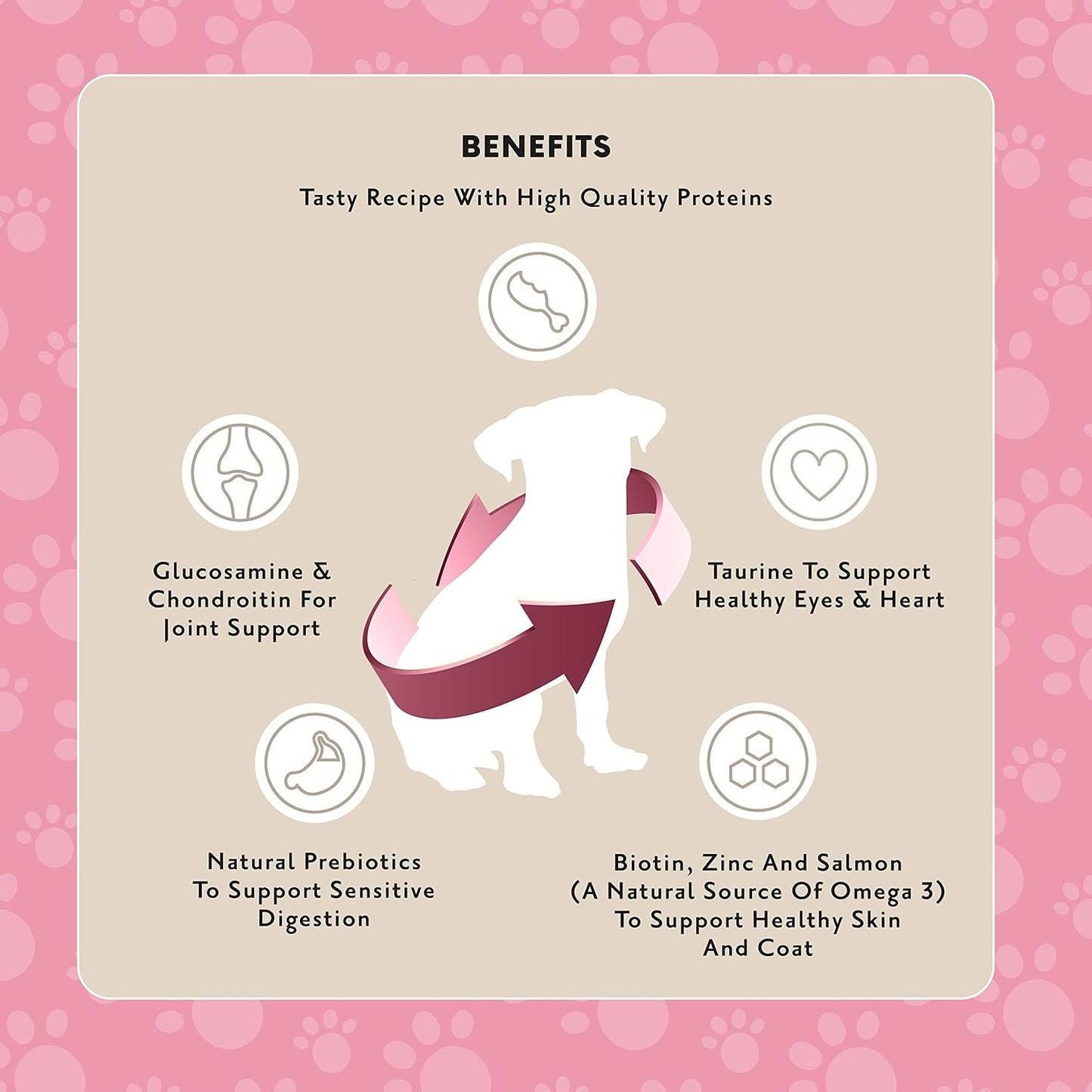 Lifelong - Complete Dry Dog Food with Salmon & Rice for Small Breeds, 1 Pack of 3kg