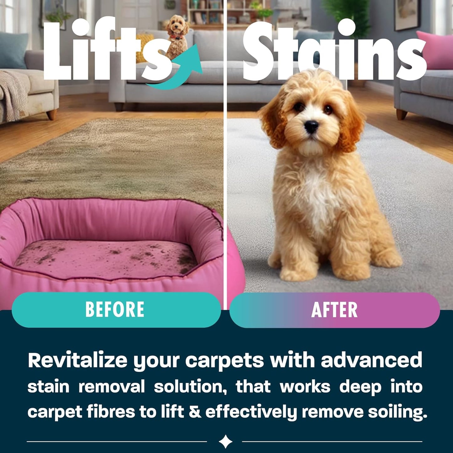 Dirtbusters Simply Carpet Cleaner Shampoo (5L) Powerful Carpet Cleaner Solution To Clean All Soiling & Eliminate Odour, Urine & Remove Stains, For Carpet Shampoo Machines