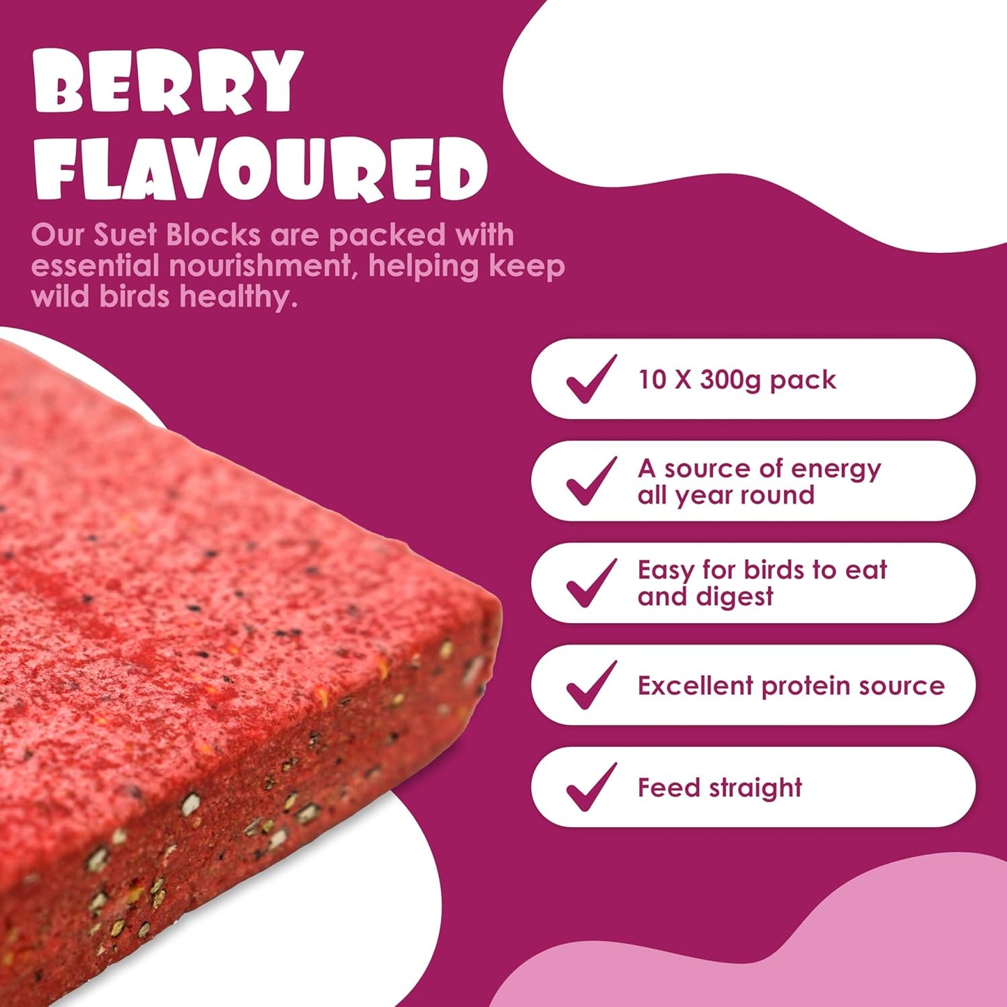 Suet Shop - Berry Flavoured Suet Blocks for Wild Birds, 300g (Pack of 10) - Enriched with Human Grade Beef Tallow, High in Energy & Protein - All-Season Bird Feed - Manufactured In The UK