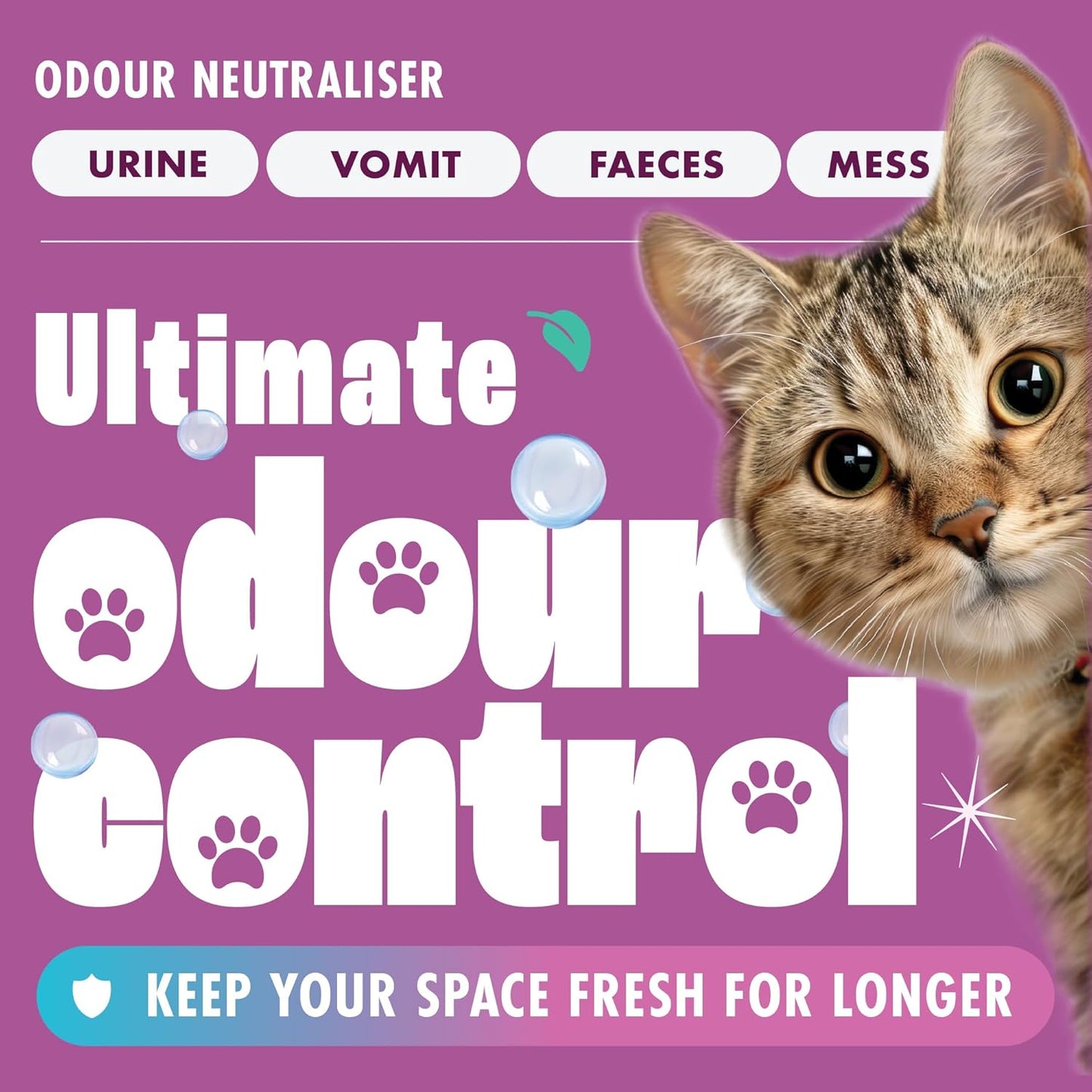 Dirtbusters Simply Carpet Cleaner Shampoo (5L) Powerful Carpet Cleaner Solution To Clean All Soiling & Eliminate Odour, Urine & Remove Stains, For Carpet Shampoo Machines